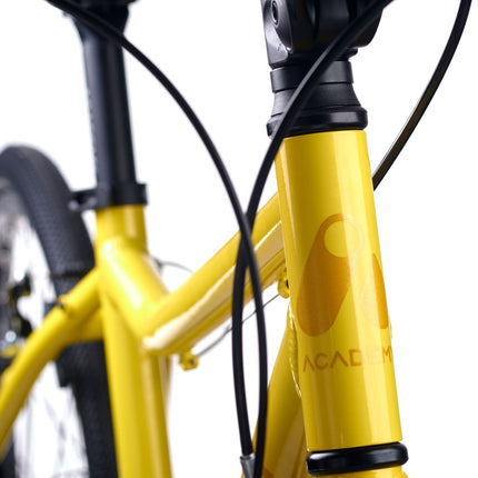 ACADEMY GRADE 5 belt - 24 Zoll Jugendfahrrad (Riemenantrieb) kaufen bei Linkreich – Jetzt entdecken!