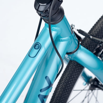 ACADEMY GRADE 5 belt - 24 Zoll Jugendfahrrad (Riemenantrieb) kaufen bei Linkreich – Jetzt entdecken!