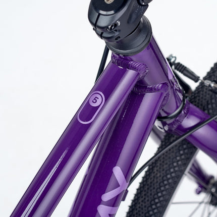 ACADEMY GRADE 5 belt - 24 Zoll Jugendfahrrad (Riemenantrieb) kaufen bei Linkreich – Jetzt entdecken!