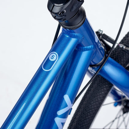 ACADEMY GRADE 5 belt - 24 Zoll Jugendfahrrad (Riemenantrieb) kaufen bei Linkreich – Jetzt entdecken!