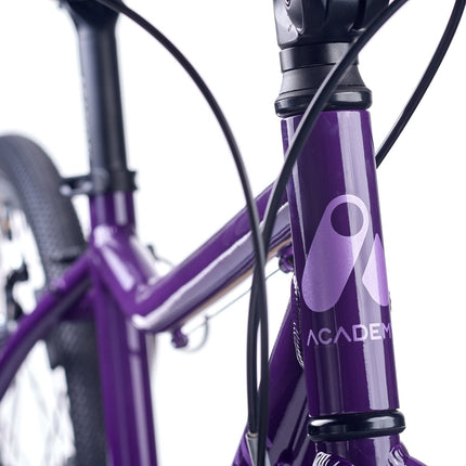 ACADEMY GRADE 5 belt - 24 Zoll Jugendfahrrad (Riemenantrieb) kaufen bei Linkreich – Jetzt entdecken!