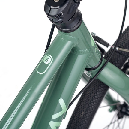 ACADEMY GRADE 5 belt - 24 Zoll Jugendfahrrad (Riemenantrieb) kaufen bei Linkreich – Jetzt entdecken!