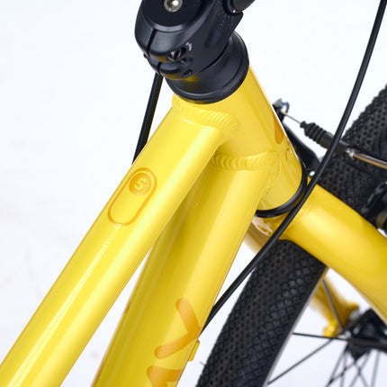 ACADEMY GRADE 5 belt - 24 Zoll Jugendfahrrad (Riemenantrieb) kaufen bei Linkreich – Jetzt entdecken!