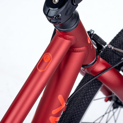 ACADEMY GRADE 5 belt - 24 Zoll Jugendfahrrad (Riemenantrieb) kaufen bei Linkreich – Jetzt entdecken!