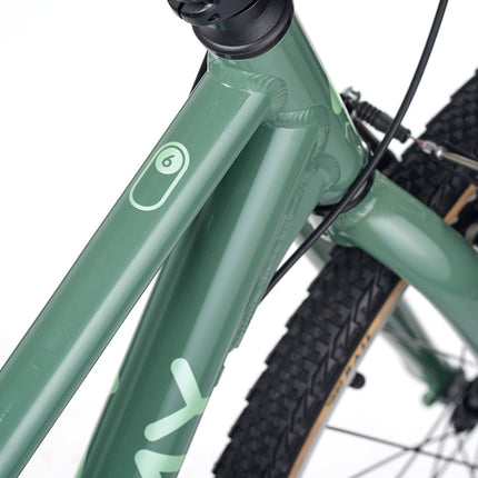 ACADEMY GRADE 6 - 26 Zoll Jugendfahrrad (Kettenantrieb) kaufen bei Linkreich – Jetzt entdecken!