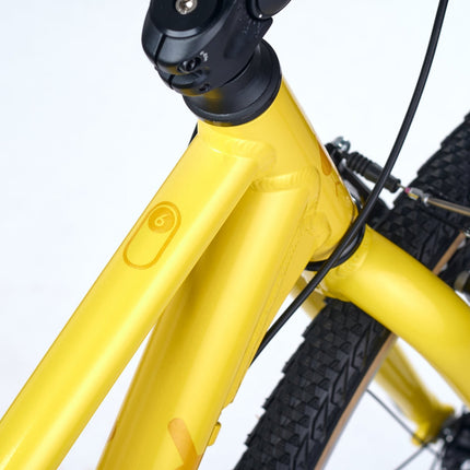 ACADEMY GRADE 6 - 26 Zoll Jugendfahrrad (Kettenantrieb) kaufen bei Linkreich – Jetzt entdecken!