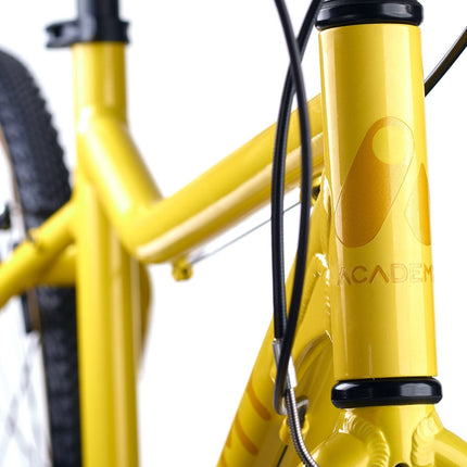 ACADEMY GRADE 6 - 26 Zoll Jugendfahrrad (Kettenantrieb) kaufen bei Linkreich – Jetzt entdecken!