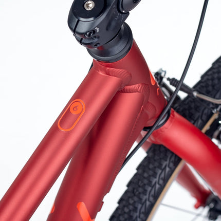 ACADEMY GRADE 6 - 26 Zoll Jugendfahrrad (Kettenantrieb) kaufen bei Linkreich – Jetzt entdecken!