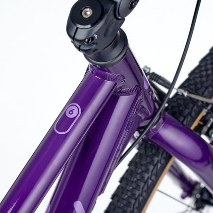 ACADEMY GRADE 6 - 26 Zoll Jugendfahrrad (Kettenantrieb) kaufen bei Linkreich – Jetzt entdecken!