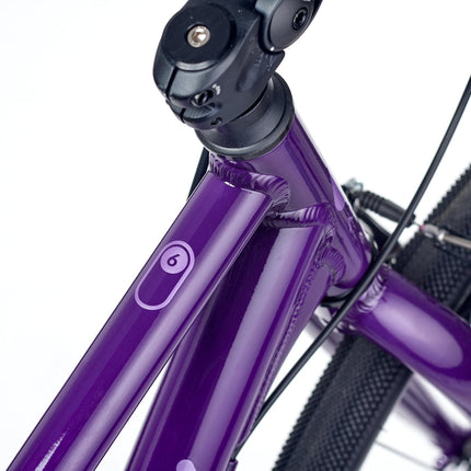 ACADEMY GRADE 6 belt - 26 Zoll Jugendfahrrad (Riemenantrieb) kaufen bei Linkreich – Jetzt entdecken!