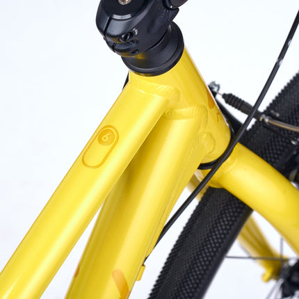 ACADEMY GRADE 6 belt - 26 Zoll Jugendfahrrad (Riemenantrieb) kaufen bei Linkreich – Jetzt entdecken!