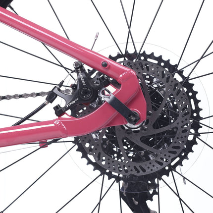 ACADEMY Gravel 5 - 24 Zoll Jugendfahrrad (Kettenantrieb) kaufen bei Linkreich – Jetzt entdecken!