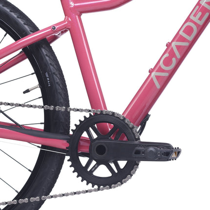 ACADEMY Gravel 5 - 24 Zoll Jugendfahrrad (Kettenantrieb) kaufen bei Linkreich – Jetzt entdecken!