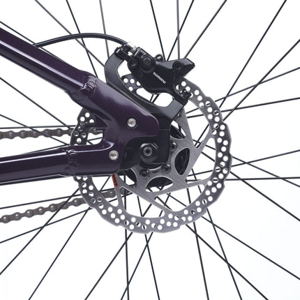 ACADEMY Pump 4 - 20 Zoll Kinderfahrrad (Kettenantrieb) kaufen bei Linkreich – Jetzt entdecken!