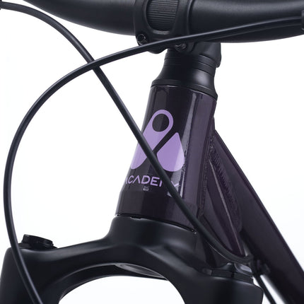 ACADEMY Pump 5 - 24 Zoll Jugendfahrrad (Kettenantrieb) kaufen bei Linkreich – Jetzt entdecken!