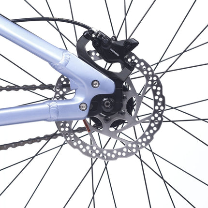 ACADEMY Pump 5 - 24 Zoll Jugendfahrrad (Kettenantrieb) kaufen bei Linkreich – Jetzt entdecken!