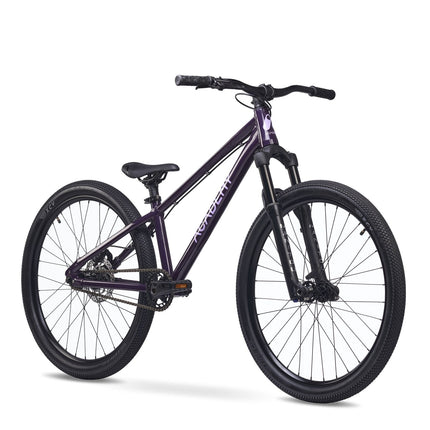 ACADEMY Pump 6 - 26 Zoll Jugendfahrrad (Kettenantrieb) kaufen bei Linkreich – Jetzt entdecken!