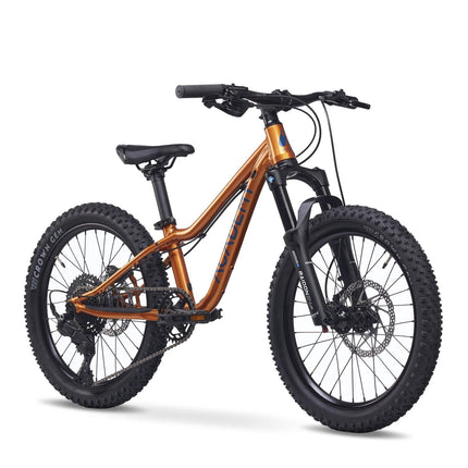 ACADEMY Trail 4 - 20 Zoll Kinderfahrrad (Kettenantrieb) kaufen bei Linkreich – Jetzt entdecken!