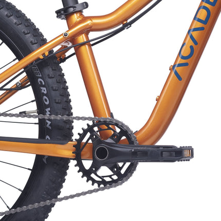 ACADEMY Trail 4 - 20 Zoll Kinderfahrrad (Kettenantrieb) kaufen bei Linkreich – Jetzt entdecken!