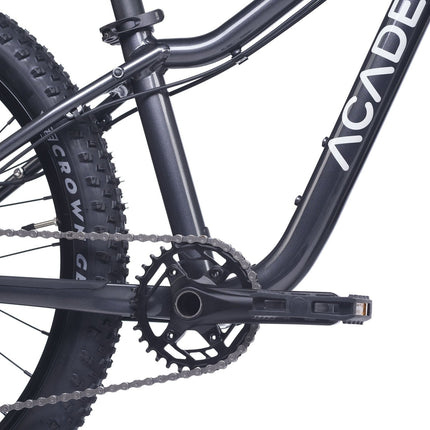 ACADEMY Trail 4 - 20 Zoll Kinderfahrrad (Kettenantrieb) kaufen bei Linkreich – Jetzt entdecken!