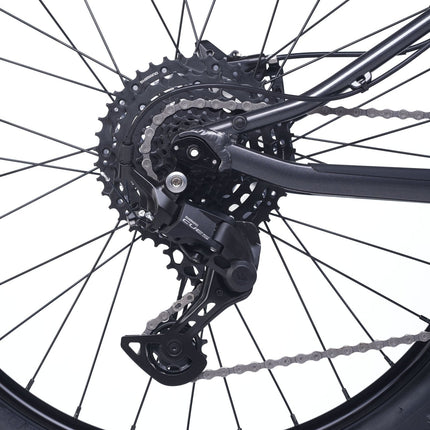 ACADEMY Trail 4 - 20 Zoll Kinderfahrrad (Kettenantrieb) kaufen bei Linkreich – Jetzt entdecken!