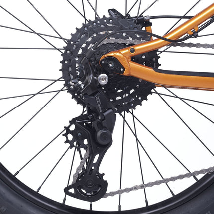 ACADEMY Trail 4 - 20 Zoll Kinderfahrrad (Kettenantrieb) kaufen bei Linkreich – Jetzt entdecken!