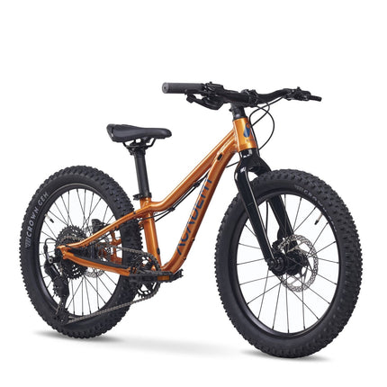 ACADEMY Trail 4 R - 20 Zoll Kinderfahrrad (Kettenantrieb) kaufen bei Linkreich – Jetzt entdecken!