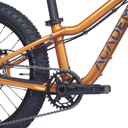 ACADEMY Trail 4 R - 20 Zoll Kinderfahrrad (Kettenantrieb) kaufen bei Linkreich – Jetzt entdecken!