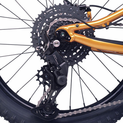 ACADEMY Trail 4 R - 20 Zoll Kinderfahrrad (Kettenantrieb) kaufen bei Linkreich – Jetzt entdecken!