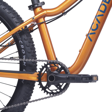 ACADEMY Trail 5 - 24 Zoll Jugendfahrrad (Kettenantrieb) kaufen bei Linkreich – Jetzt entdecken!