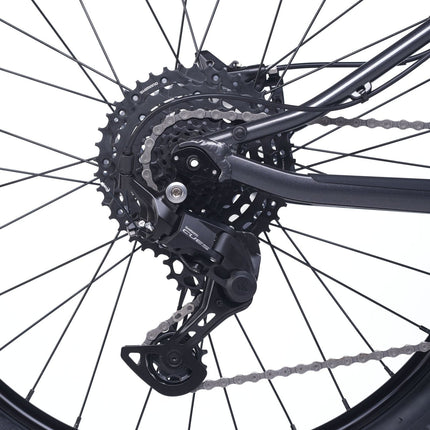 ACADEMY Trail 5 - 24 Zoll Jugendfahrrad (Kettenantrieb) kaufen bei Linkreich – Jetzt entdecken!