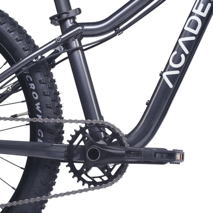 ACADEMY Trail 5 - 24 Zoll Jugendfahrrad (Kettenantrieb) kaufen bei Linkreich – Jetzt entdecken!