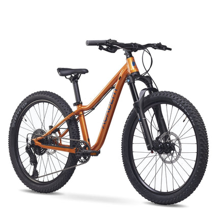 ACADEMY Trail 5 - 24 Zoll Jugendfahrrad (Kettenantrieb) kaufen bei Linkreich – Jetzt entdecken!