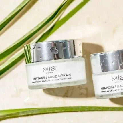 ACTIVE Face Cream von Mia Costemetic – Gesichtscreme für alle Hauttypen - Linkreich