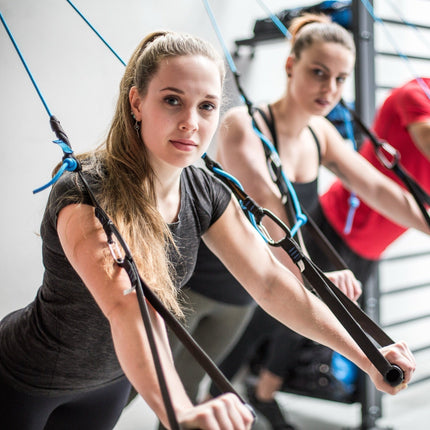 aeroSling ELITE - Our Original Slingtrainer