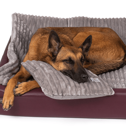 SEO. All - In Relax Bundle | KUDDE Hundebett + Einlage & Kissen - brombeer Linkreich