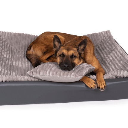SEO. All - In Relax Bundle | KUDDE Hundebett + Einlage & Kissen - stone Linkreich