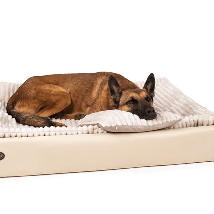 SEO. All - In Relax Bundle | KUDDE Hundebett + Einlage & Kissen - sahara Linkreich