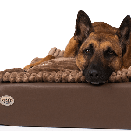 SEO. All - In Relax Bundle | KUDDE Hundebett + Einlage & Kissen - chocolate Linkreich