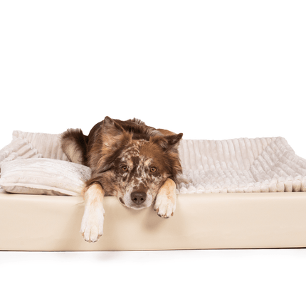 SEO. All - In Relax Bundle | KUDDE Hundebett + Einlage & Kissen - sahara Linkreich
