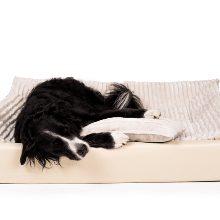 SEO. All - In Relax Bundle | KUDDE Hundebett + Einlage & Kissen - sahara Linkreich