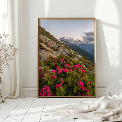 Mont Blanc Massif Wall Art - Chamonix Flowers Print