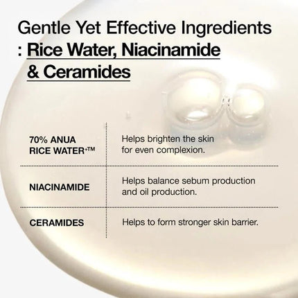 SEO. Anua Rice 70 + Glow Milky Toner 250 ml - Rice 70 + Glow Milky Toner Linkreich