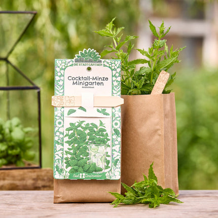 Anzuchtset – Minigarten Cocktail Minze