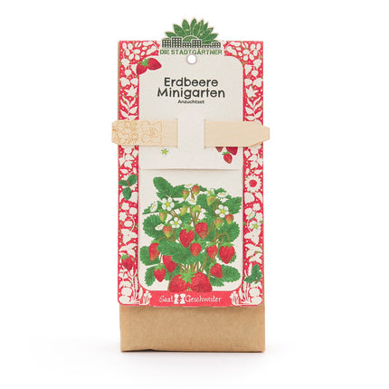 Anzuchtset – Minigarten Erdbeeren