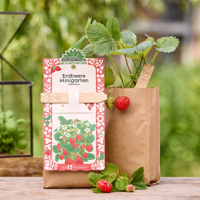 Anzuchtset – Minigarten Erdbeeren