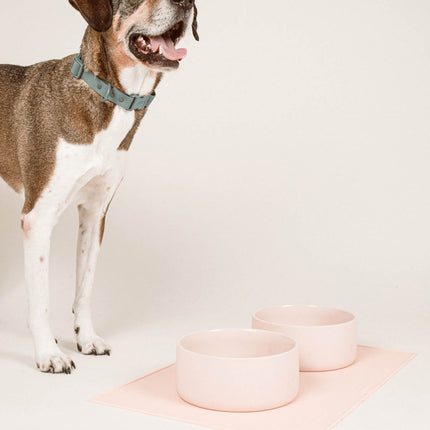 Ceramic Bowl