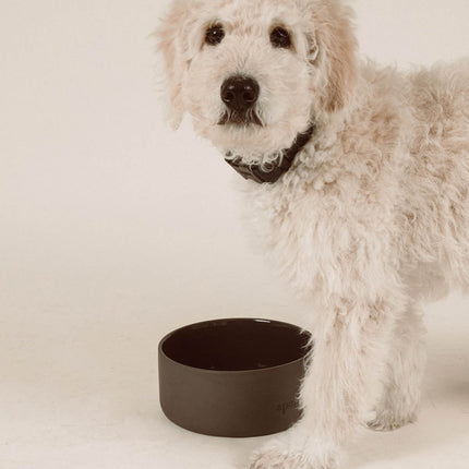 Ceramic Bowl