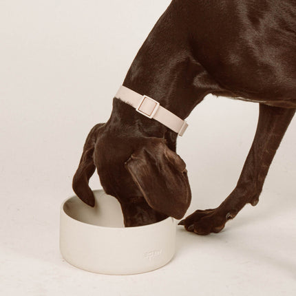 Ceramic Bowl