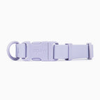 Lavender / XS